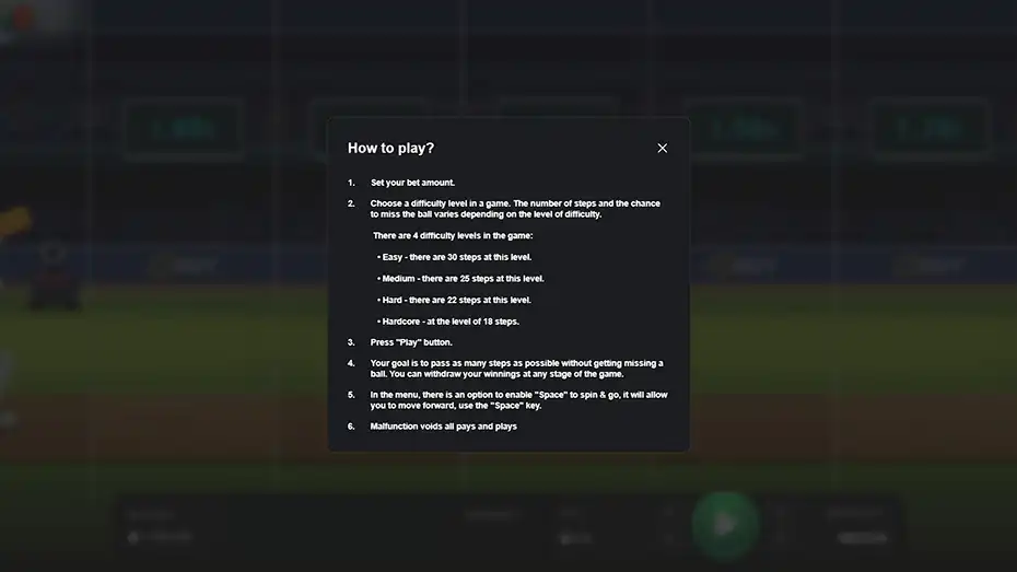 Cricket Road Inout Game